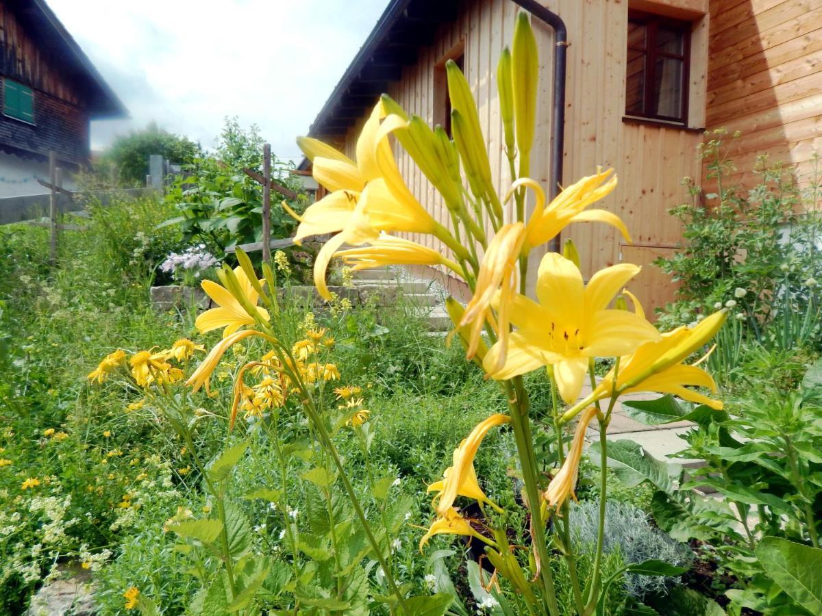 זונטהופן Berggasthof Sonne Allgaeu מראה חיצוני תמונה